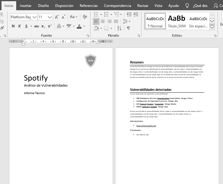 Example of a vulnerability report generated in Word